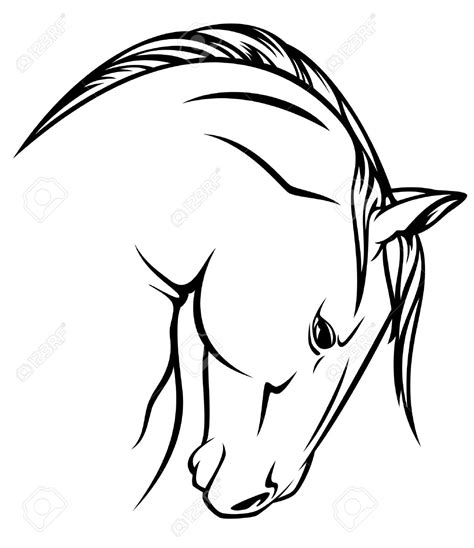 horse outline drawing|detailed horse outline.